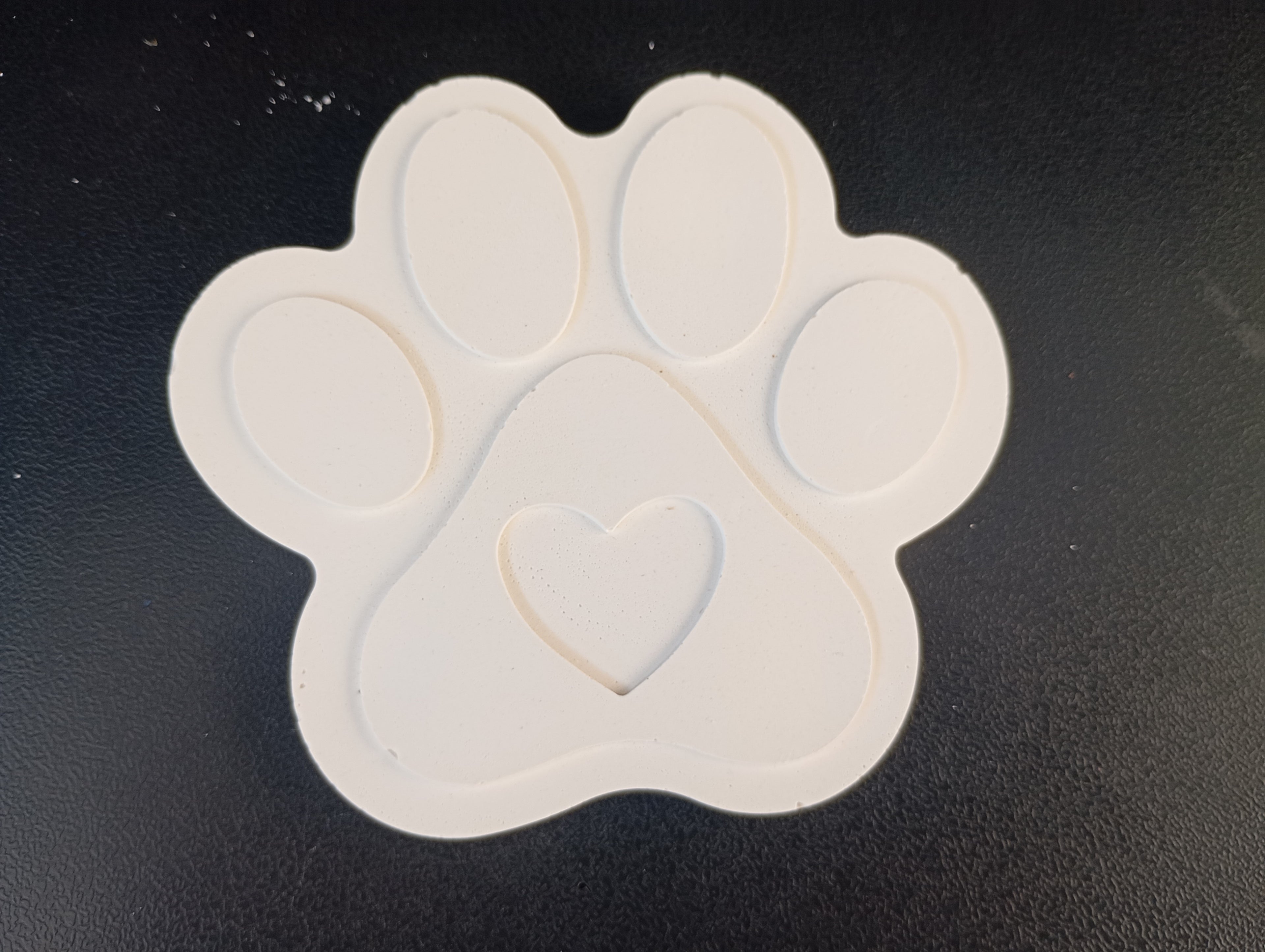 Patte de chien