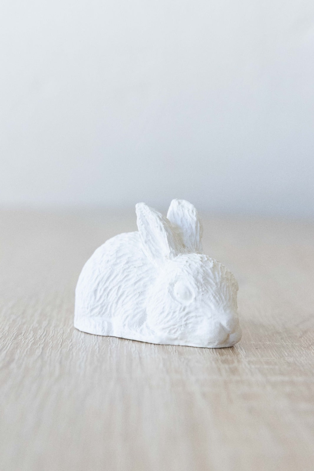 Petit lapin a peindre