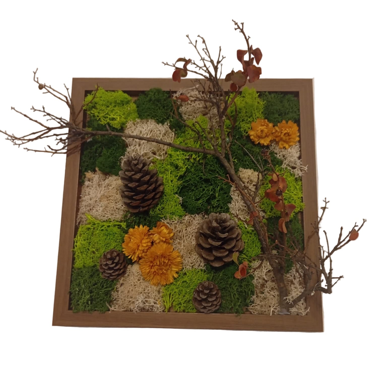 Évasion d’automne