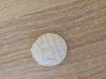 Gaufre à peindre