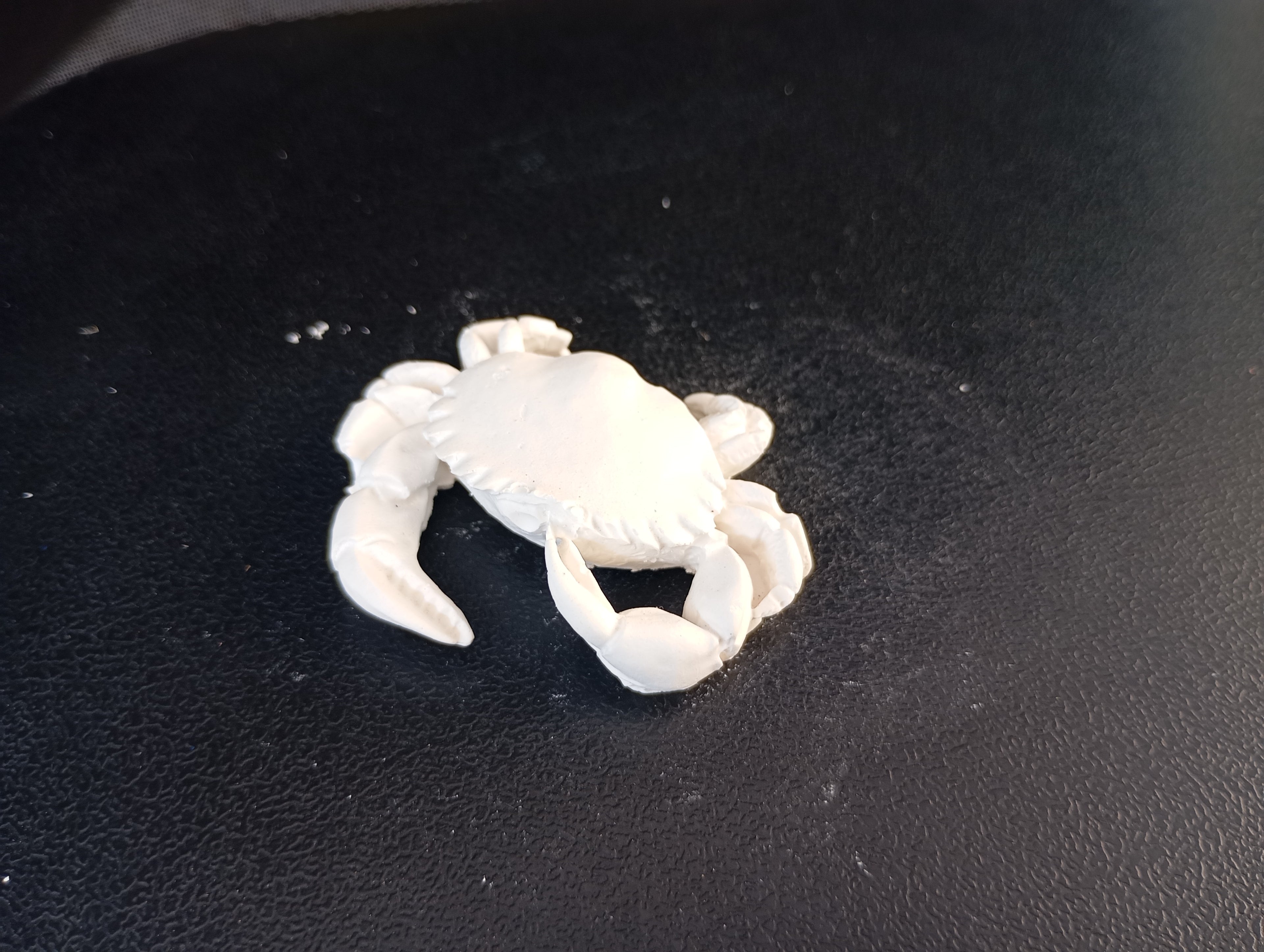 Crabe à peindre