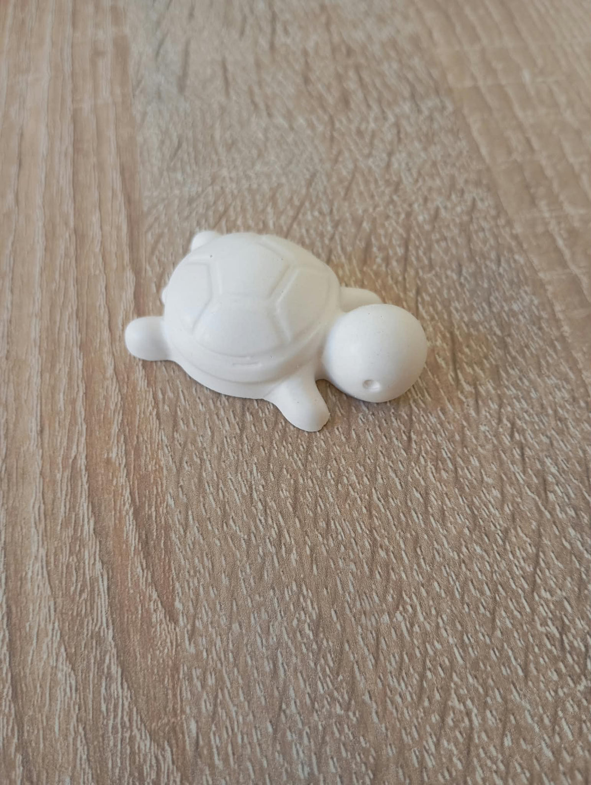 Petite tortue aimantée à peindre